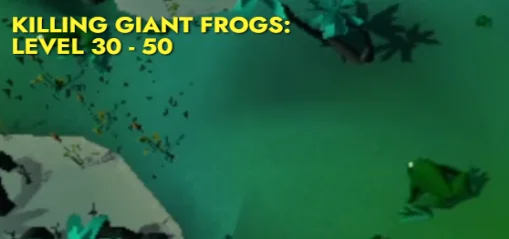 Killing Giant frogs from Level 30 - 50 ranged></p><p><span style=