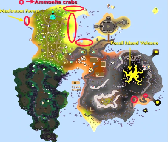 Locations of Ammonite crabs<