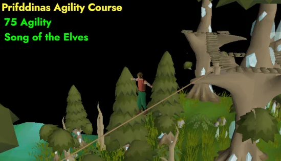 Prifddinas Agility Course