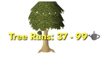 Tree runs