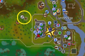 West of Lumbridge Castle for tree runs