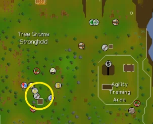 Tree Gnome Stronghold tree runs