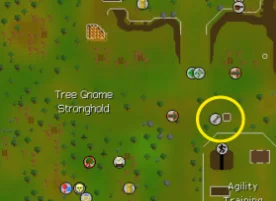 Tree Gnome Stronghold