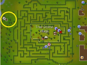 West of Tree Gnome maze