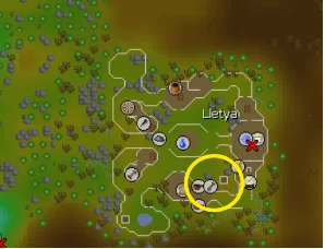 Lletya