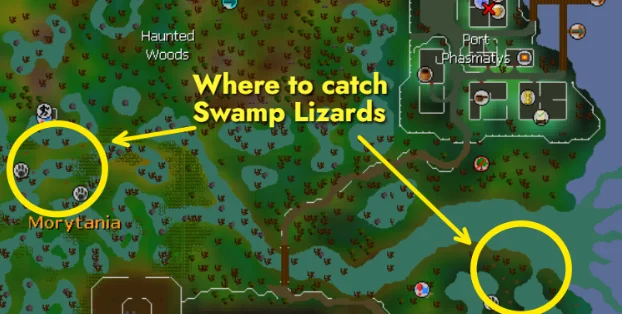 Swamp Lizards locations