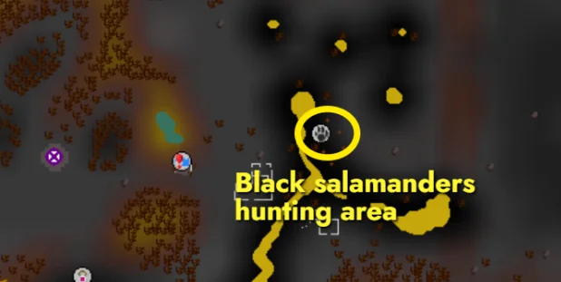 Where to Hunt Black Salamanders