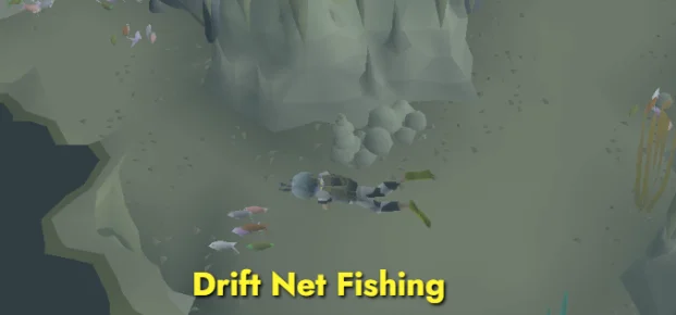 Drift Net fishing