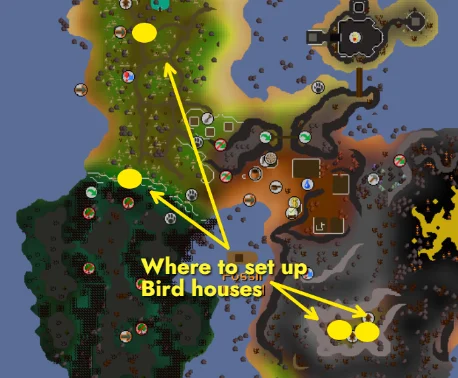 Birdhouse traps location