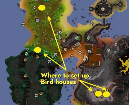 locations to setup Bird house traps<