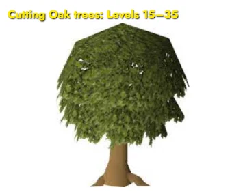 Cutting Oak trees: Levels 15–35