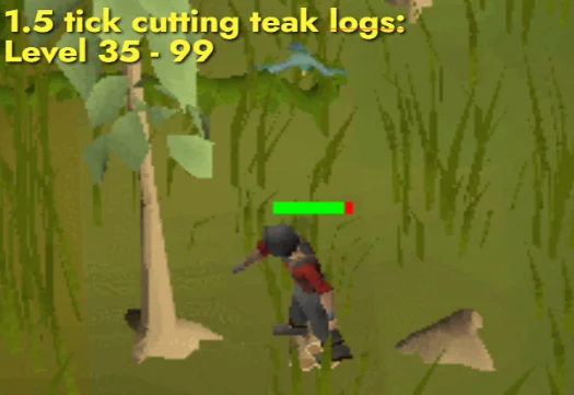 1.5 tick Cutting teak trees: Level 35 to 99