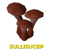 sulliuscep