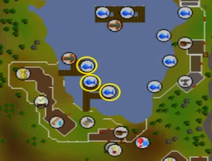 Fishing Guild shark fishing spot