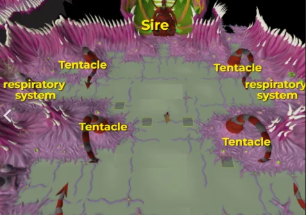 Respiratory system and tentacle of Abyssal sire