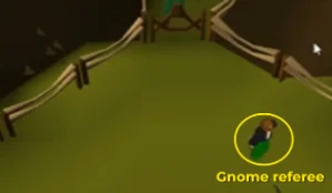 gnomeball referee