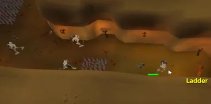 wilderness agility underground