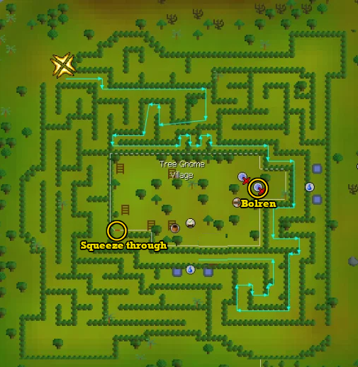 Navigating through Tree gnome maze