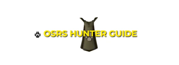 Hunter Training Guide Leveling 1-99 Fastest XP Rates