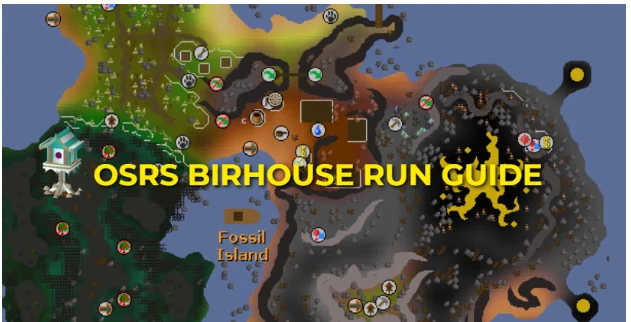 OSRS Birdhouse Run Guide: XP Rates, Best Seeds, Locations