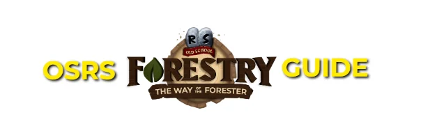 OSRS Forestry Guide: XP Rates, Locations, Worlds & Rewards