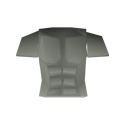 Fighter Torso