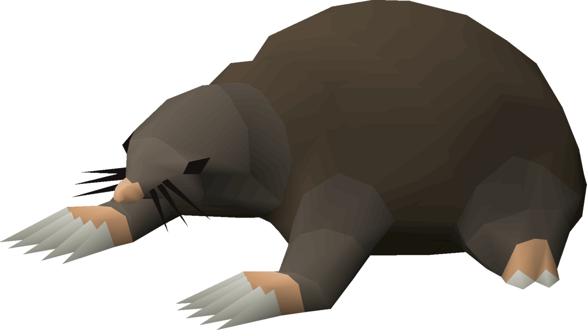 Giant mole KC